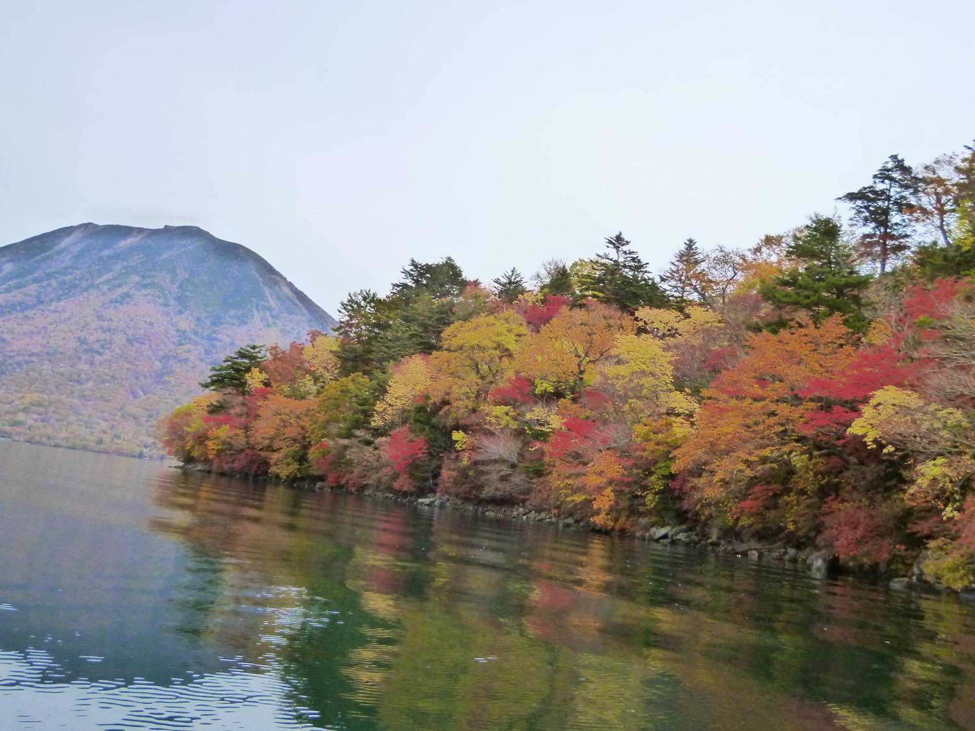 Little Forest Inn Nikko Dış mekan fotoğraf